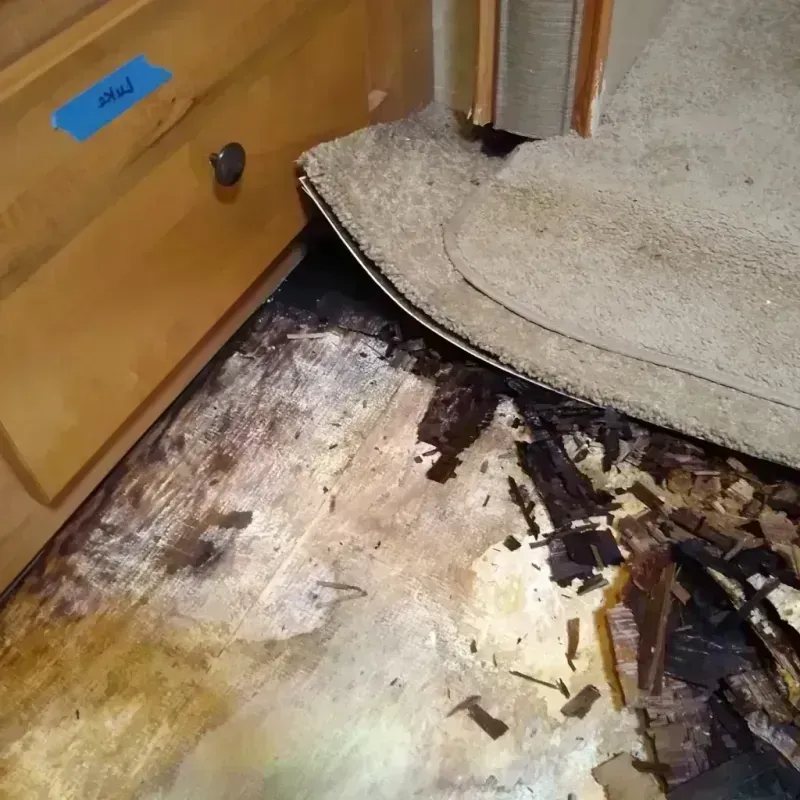 Wood Floor Water Damage in Clarksburg, MD